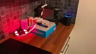 google mini and alexa