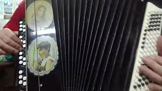 Червона Рута    В Ивасюк