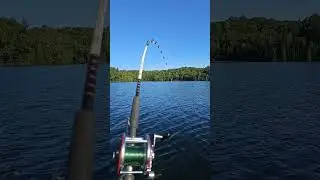 Lake Trout fishing in July! #fishing #lake #laketrout