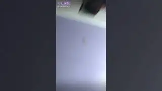 Лайк(12)