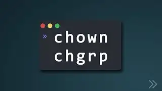 14- commande de base linux : Gestion des droits : chown et chgrp