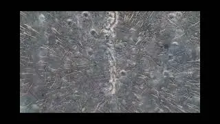 Savaş Doğayı Yok Eder😢😢😢