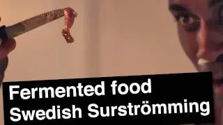 WORLDS WORST FISH  SURSTRÖMMING