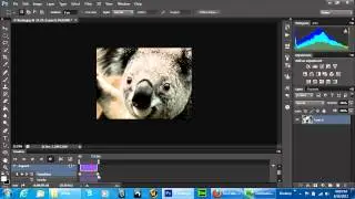 PS6 Quick Tip Timeline Pan & Zoom Video Editing Effect Made Easy Tutorial