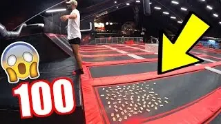 100 MOUSE TRAPS