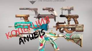 Новая коллекция ANUBIS ! Скин или пиво? CSGO