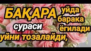 БАҚАРА СУРАСИ УКИЛГАН УЙДА ЖИН ВА ШАЙТОН БУЛМАЙДИ.УЙНИ ТОЗАЛАЙДА.