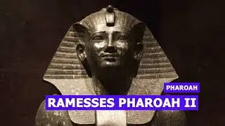 Africa Focus: Egypt