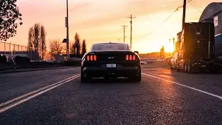 Ali's 5.0 Ford Mustang //4K