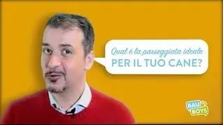 TUTORIAL BAU BOYS - Qual è la passeggiata ideale per il tuo cane?