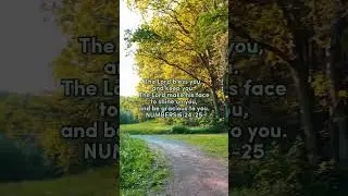 #bible