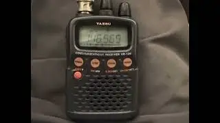 Testing my new fox