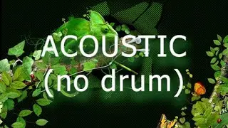 AUDIO JUNGLE NO COPYRIGHT acoustic (no drum)