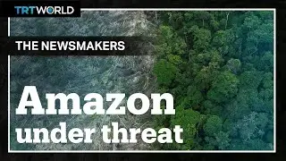 Is the fate of the Amazon at risk?