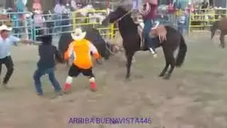 CHINGADASOS EN  JARIPEO