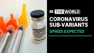 Centaurus to XBB: why some of the latest COVID subvariants are more worrying than others | The World