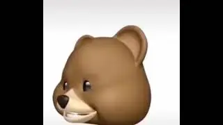 I’m a Little Teddy Bear😀