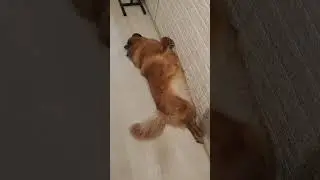 Отдых у красотки хитропопой