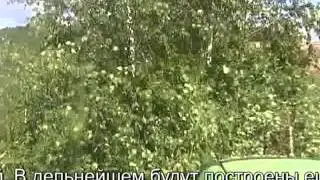 Раскорчевка заросших полей