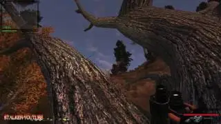 stalker сталкер путь человека возвращение,  найти тайник Сане на Свалке