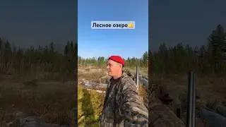 Нашли лесное озеро в тайге 