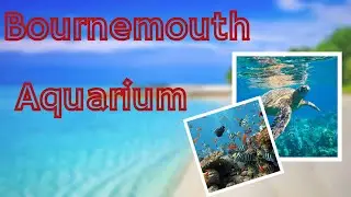 Bournemouth Aquarium with family