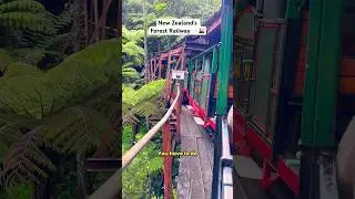 You have to do this in New Zealand! 🚂 #newzealand #nztravel #travelnewzealand #newzealandtravel