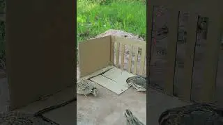 Really DIY Quick Quail Trap #shorts # #birds #trapping