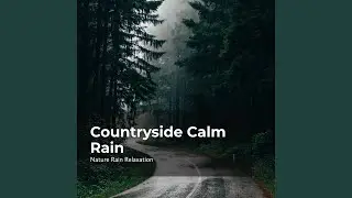 Nature Landscape Rain
