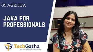 Java For Professional - 01 AGENDA