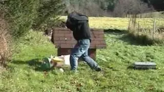 base ball bat rage