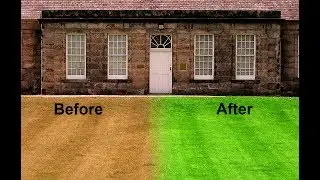 How to Make Dry Grass Lush Green Grass in Photoshop