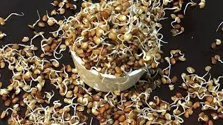 How to sprout HorseGram|Sprouted horsegram|Kulthi sprouts