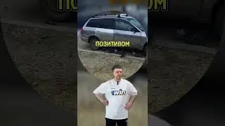 Голуби едят метал! #юмор