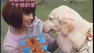 10 Promises To My Dog