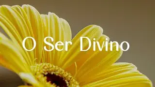 Sr. Reis - O Ser Divino