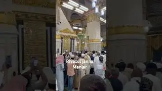 Exploring the Riyazul Jannah: The Most Beautiful Place in Madinah