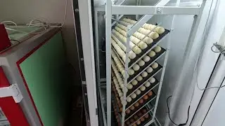 Инкубация идет полным ходом