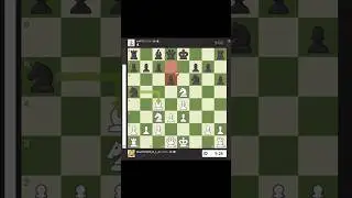 One Blunder Ruins the Game