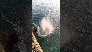Вхождение камня в воду #море #брызги #побережье