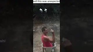 well that was unexpected