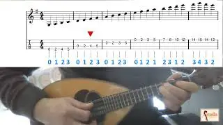Mandolino: come suonare la scala di Sol Maggiore #mandolin