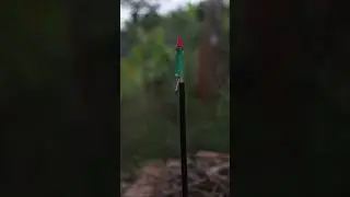 An Epic Vishu Celebration with Alexa and ChatGPT Generated Rocket Pad | Happy Diwali Status HD 2024