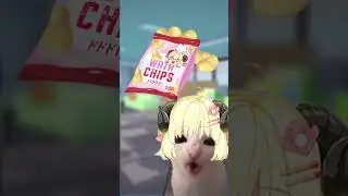 CRUNCHY CAT BUT WATACHIPS (meme) #hololivememes