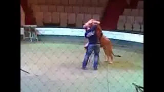 Голова Хамада Кута  в пасти льва