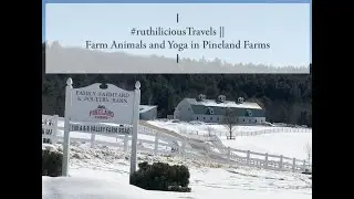 #ruthiliciousTravels || Farm Animals and Yoga in Pineland Farms