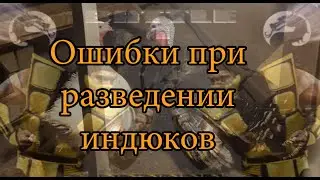 Ошибки при разведении индюков