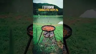 ПОЙМАЛИ ФОРЕЛЬ И ПРИГОТОВИЛИ #охотарыбалка #добыча #рецепт #еда #рыбалка #форель #рыба #рыбаки