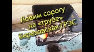 Рыбалка в Шарыпово. Березовкая ГРЭС она же 