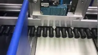 STAS Blueberries grader